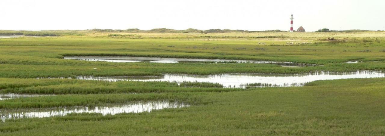 Studio De Zunneblomme Middelkerke Kültér fotó